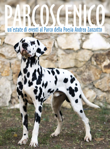 Eventi passati - foto 8