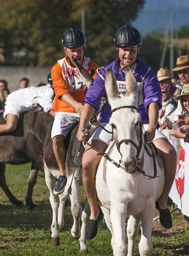 Eventi passati - foto 6