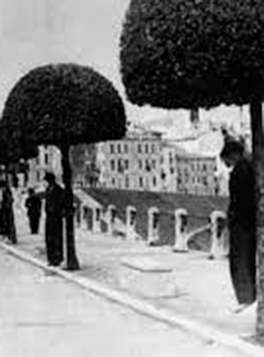 Eventi passati - foto 2